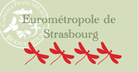 Strasbourg « Meilleure grande ville pour la biodiversité 2017 »