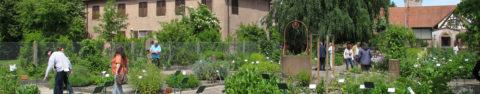 Troc de plantes au jardin monastique d’Eschau le 13 octobre